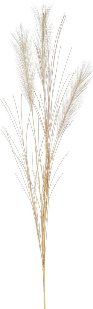 artplants.de Künstlicher Pampasgras Zweig BALARI, Rispen, Creme, 65cm - Deko Pampasgras