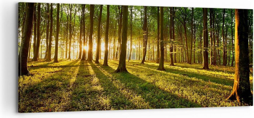 Bild auf Leinwand - Leinwandbild - Wald grün Sonnenstrahlen Natur - 120x50cm - Wand Bild - Wanddeko - Leinwanddruck - Bilder - Kunstdruck - Wandde...