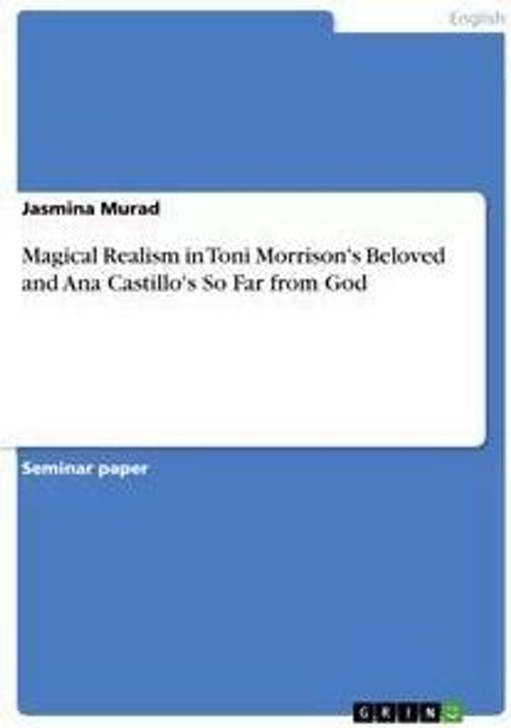 Magical Realism in Toni Morrison's Beloved and Ana Castillo's So Far from God