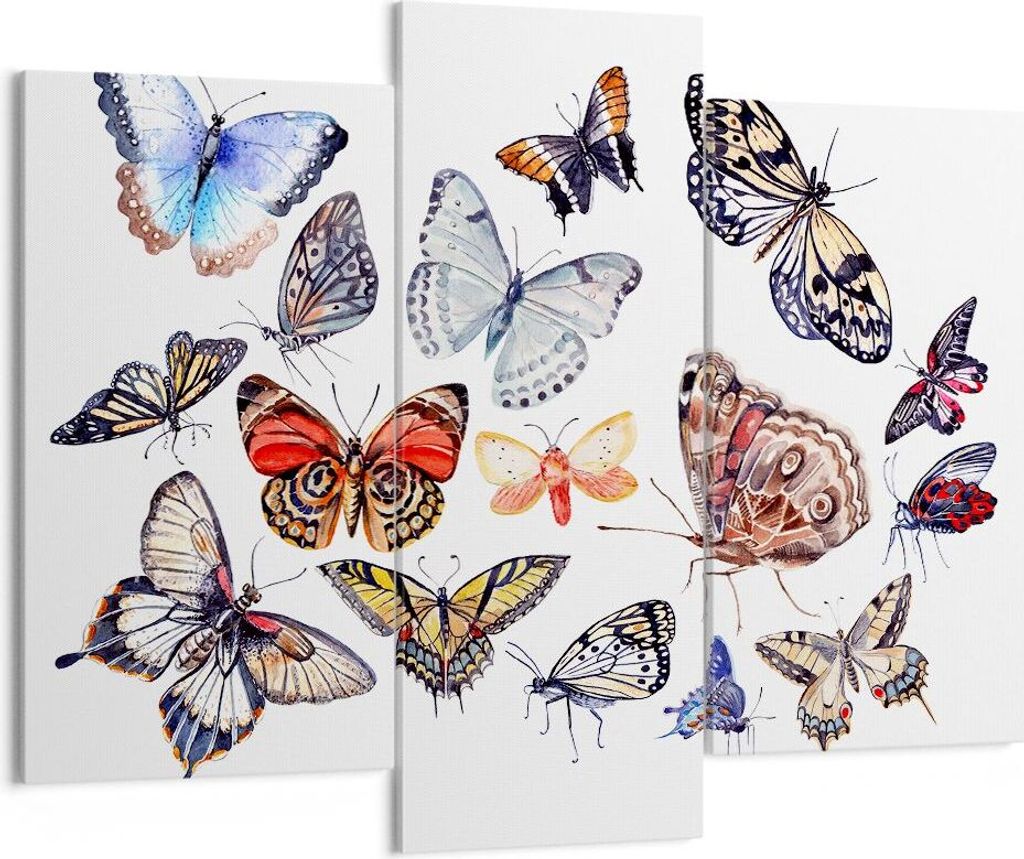 Bild auf Leinwand - Leinwandbild - Schmetterlinge Illustration Bunt Flügel - 130x100cm - Wand Bild - Wanddeko - Leinwanddruck - Bilder - Kunstdruc...