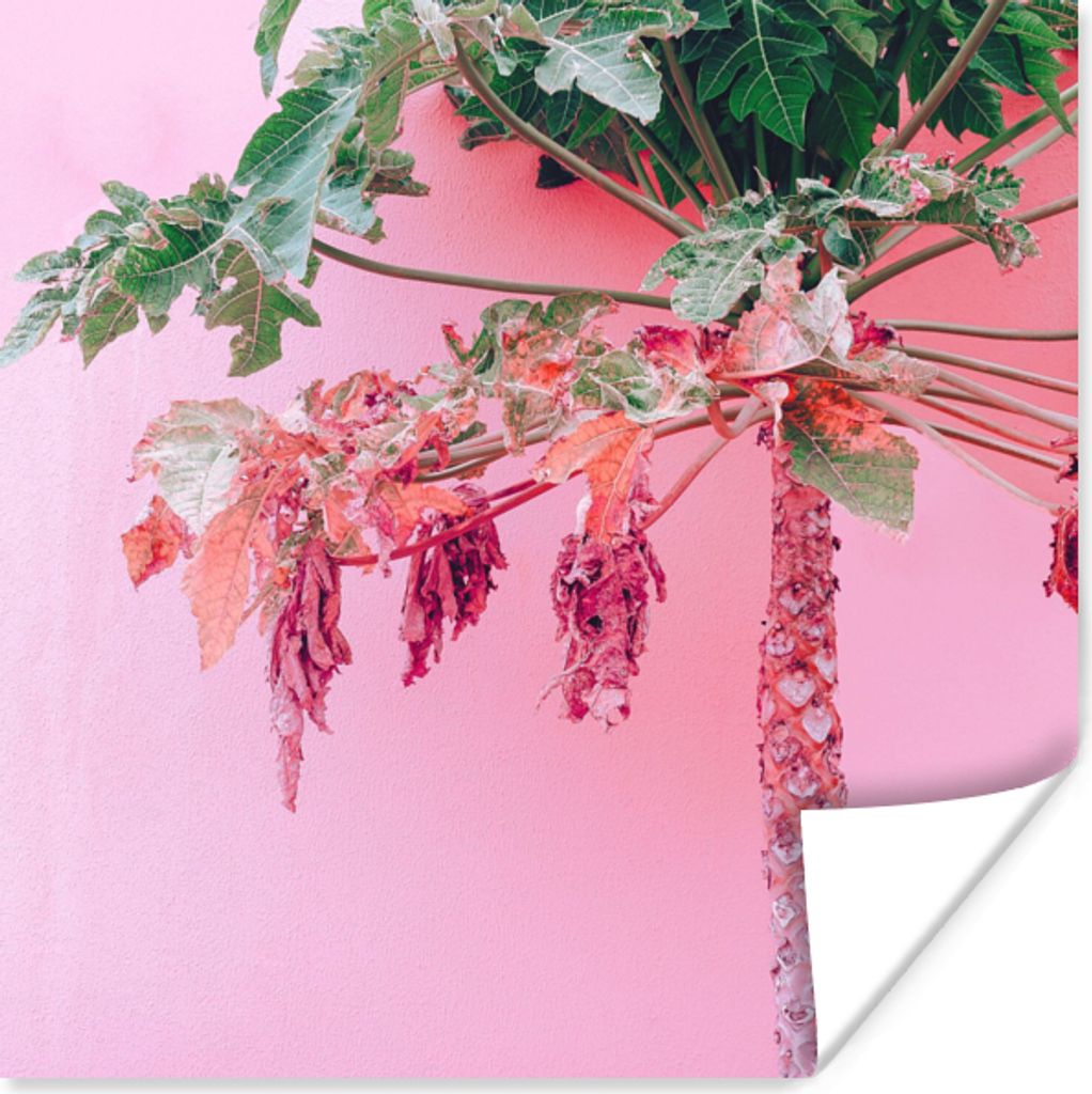 MuchoWow Poster Palme - Tropisch - Rosa - Sommer 30x30 cm - Wandposter - Printing