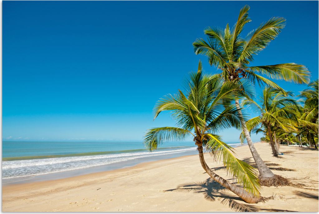 MuchoWow Poster Strand - Meer - Palme 90x60 cm - Schlafzimmer