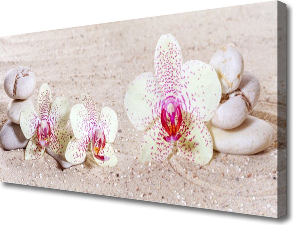 Tulup Leinwand-Bilder 100x50 Wandbild Canvas Kunstdruck Blumen Steine Pflanzen