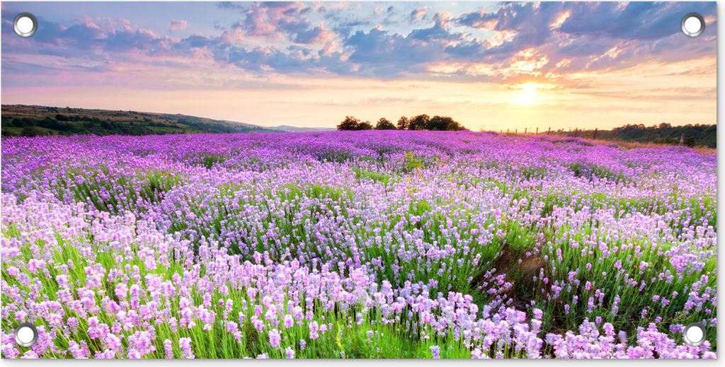 MuchoWow 60x30 cm Outdoor-Poster Gartendeko Sichtschutz Garten Poster für den Garten Lavendel - Blumen - Sonnenuntergang - Lila - Wiese