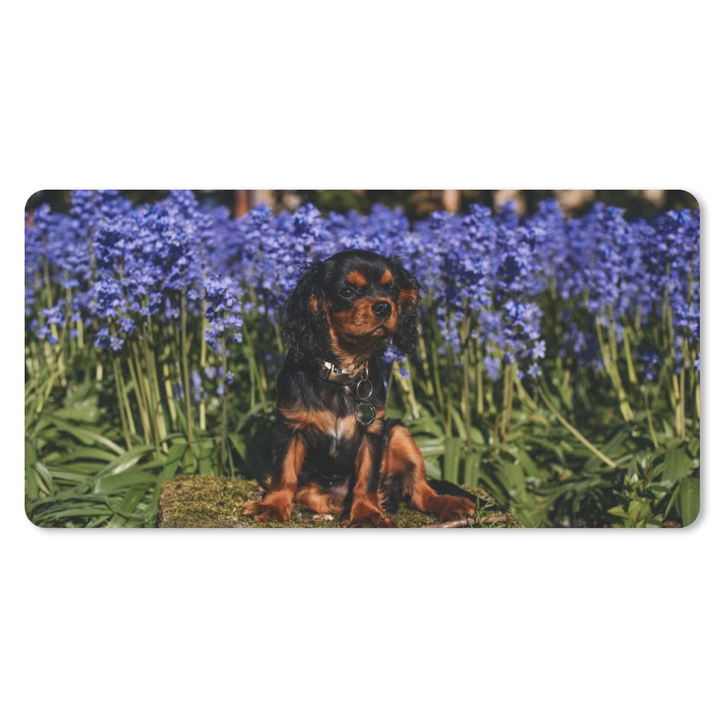 MuchoWow Schreibtischunterlage Ein Cavalier King Charles Spaniel zwischen den blauen Blumen 80x40 cm - XXL Mauspad - Gaming Mauspad