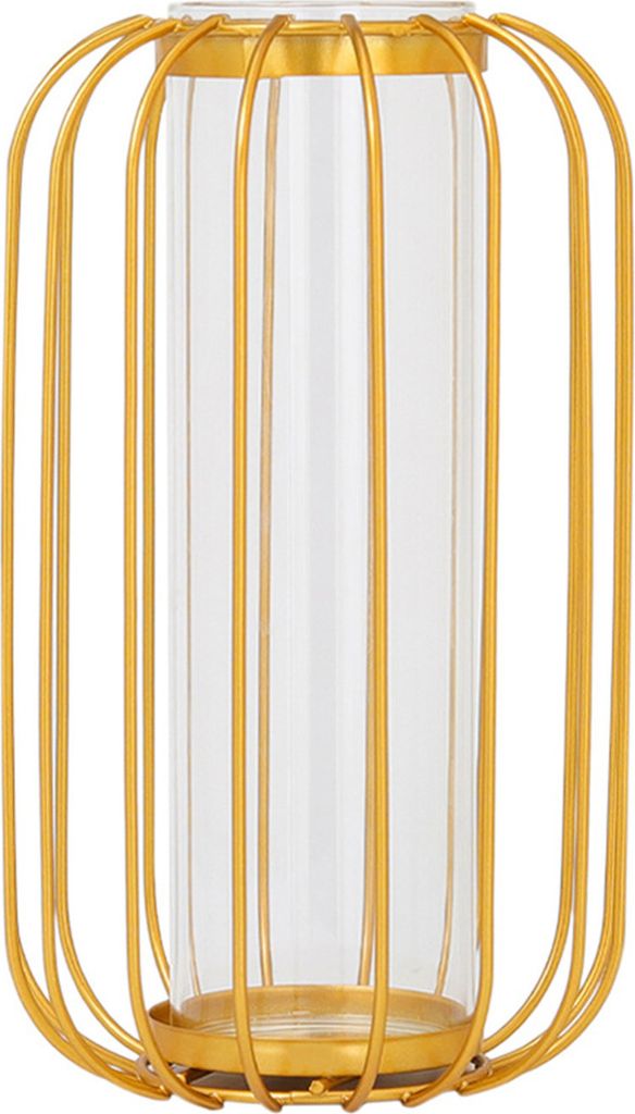 Eisenvase Anti-gebrochenes Dropresistenz abnehmbar abnehmbar nicht schlupfboden wasserantrieb eingebauter Glasrohr Nordic Greeny Vase Home Decor-Ei...