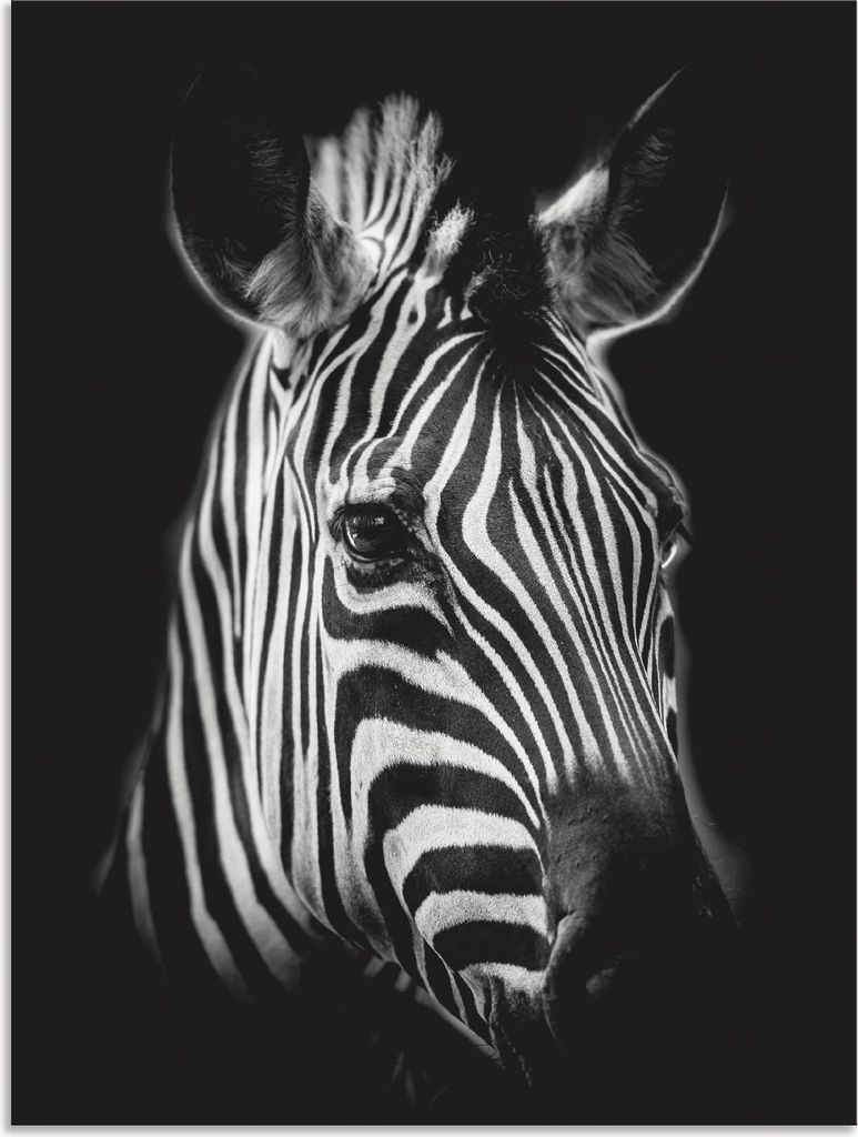 ARTland Wandbild Alu für Innen & Outdoor Zebra Größe: 30x40 cm