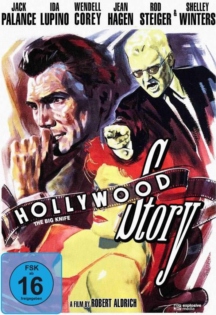 Hollywood-Story (DVD)