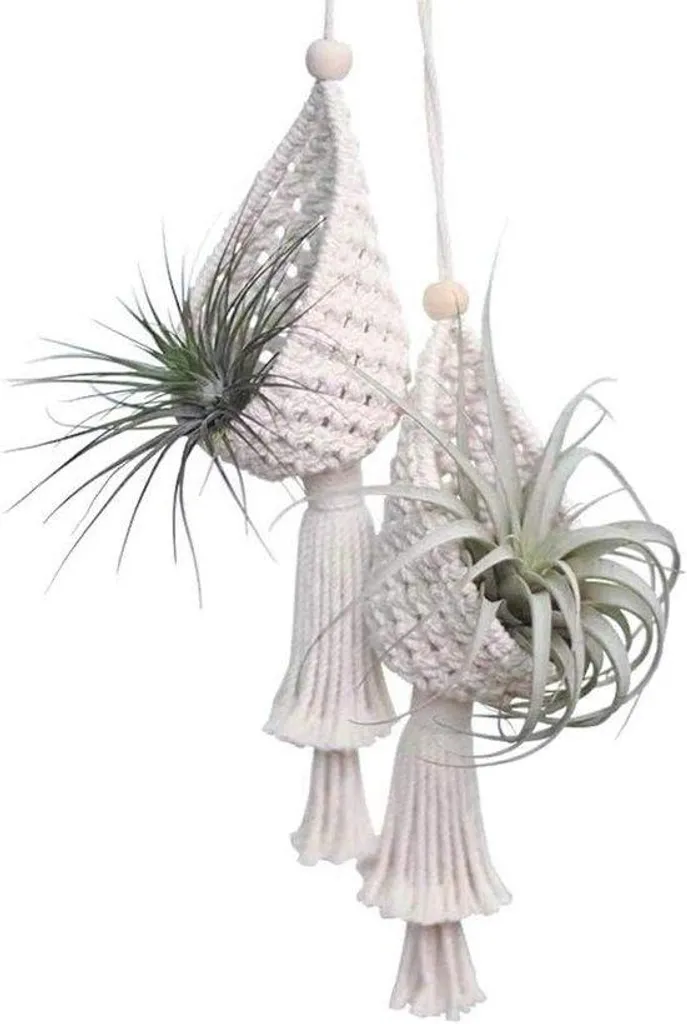 Suspension macramé pour tillandsia et plantes, tissage coton fait main