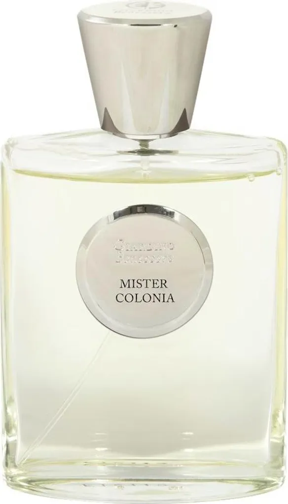 Mister Colonia Eau de Parfum Spray 100ml - Parfum Élégant pour Homme