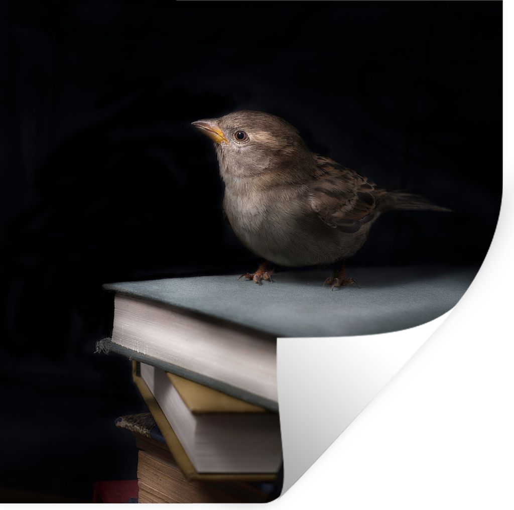 MuchoWow - Selbstklebend - Fototapeten