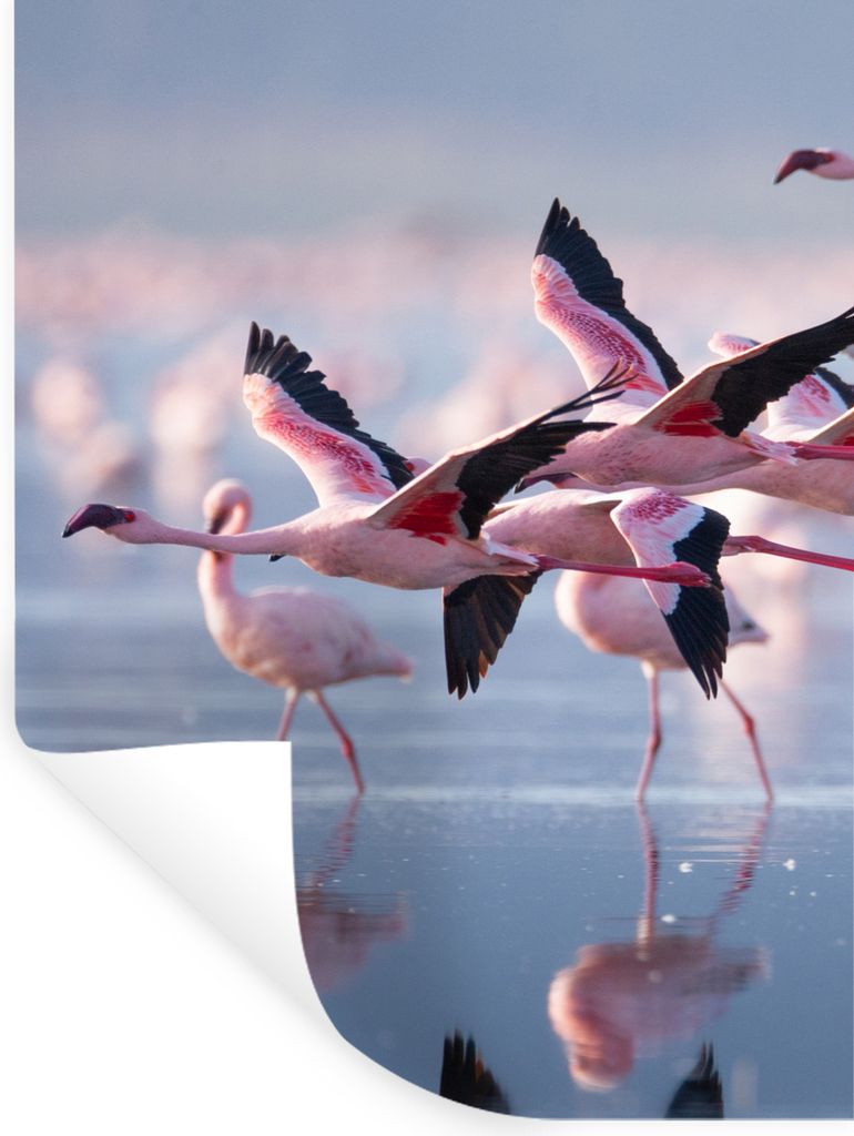MuchoWow Wandtattoo Wandsticker Wandaufkleber Flamingo - Vogel - Wasser - Rosa 30x40 cm Selbstklebend und Repositionierbar - Sticker - Dekorfolie