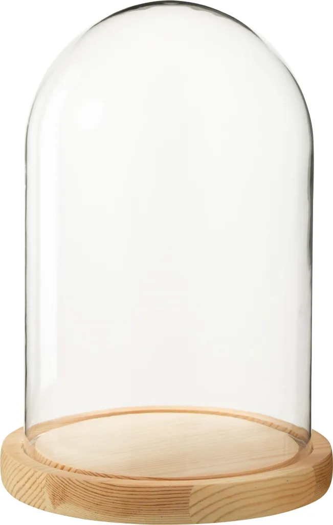 Cloche en verre transparent J-Line avec socle naturel format Medium