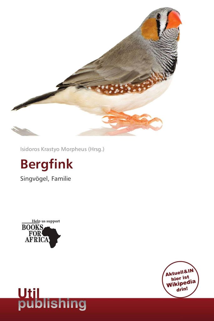 Bergfink