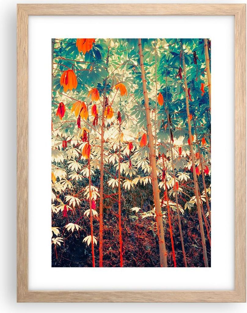 Gerahmtes Poster - Rahmen in heller Eiche - Pflanzen tropisch orange - 30x40 cm - Wand Bild - Wanddeko - Wandbilder - Kunstposter - Wandposter - Bi...