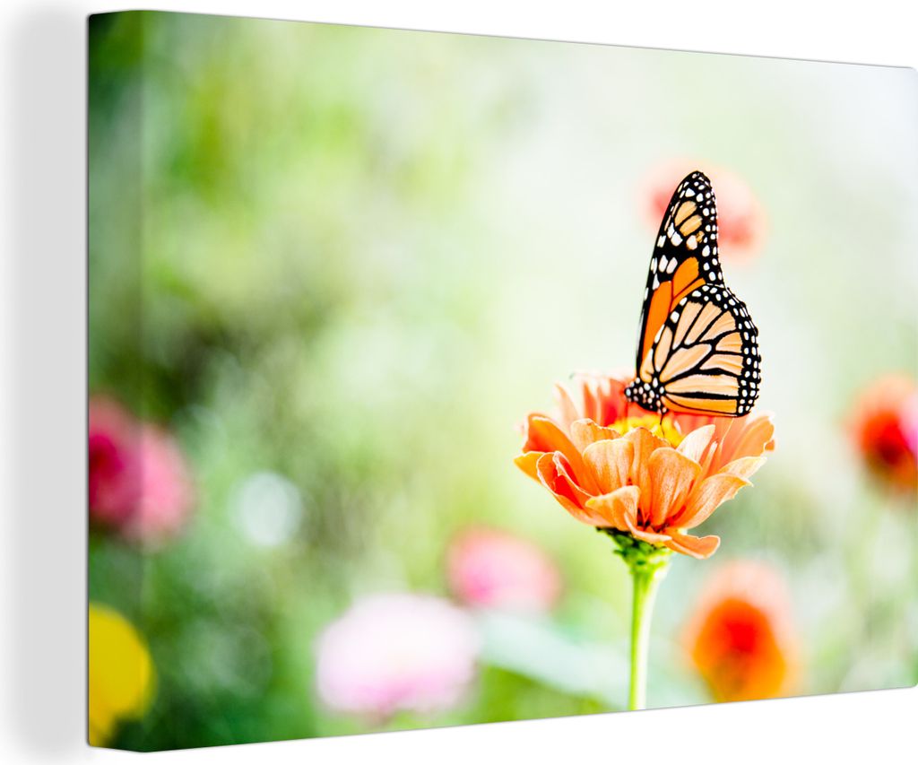 OneMillionCanvasses - Leinwandbilder - 140x90 cm, Oranger Schmetterling in einem Blumenfeld, Wandbilder Kunstdruck Wanddekoration
