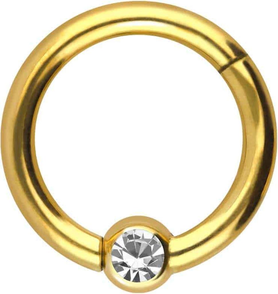 Ohrpiercing, Nasenpiercing, Septum Piercing Titan Segmentring Clicker KRISTALL Gold Innendurchmesser: 8mm + Stabstärke: 1,6mm