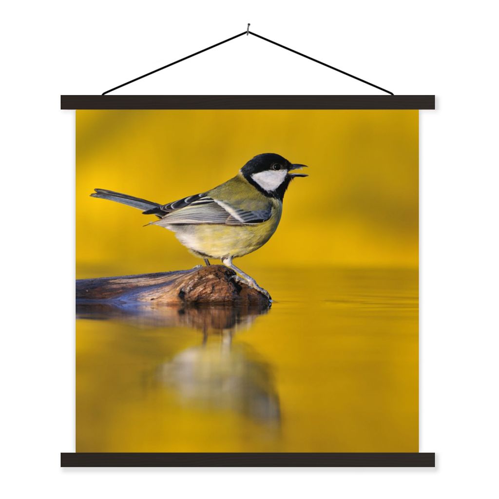 MuchoWow Textilposter Kohlmeise - Vogel - Wasser 40x40 cm mit schwarzem Rahmen - Fotos