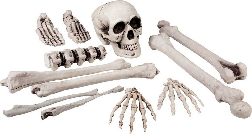 12-teiliges Knochen-Set - 1 Schädel, 7 Knochen, 2 Hände, 2 Produktbild 