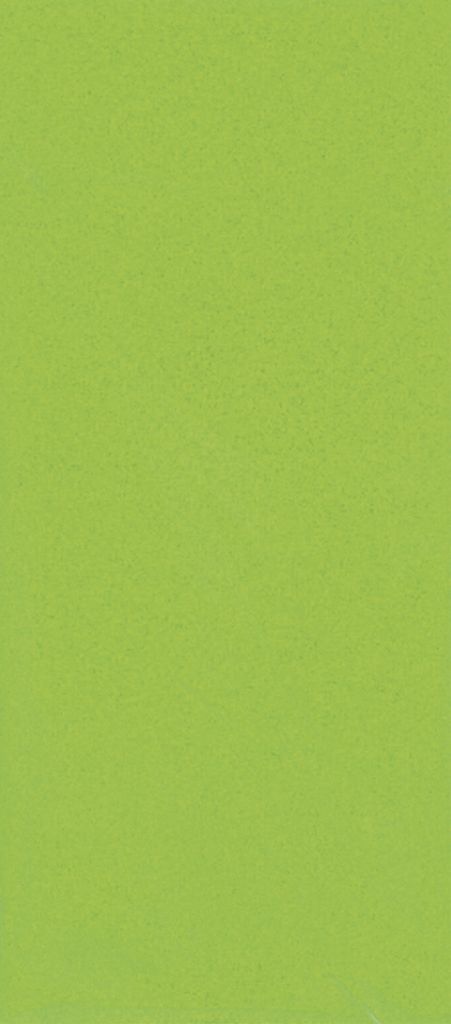 Clairefontaine 12x Seidenpapier, Packung mit 6 Blatt 50x70 cm, grün Grün 6663-GC