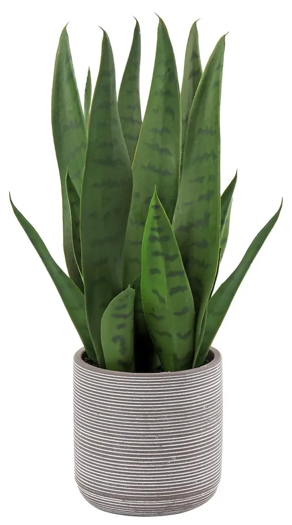 Plante Sansevieria artificielle 40 cm - Finis les arrosages oubliés