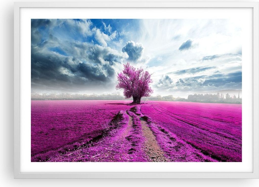 Gerahmtes Poster - Weißer Rahmen - Heidefeld Baum Wolken Landschaft - 70x50 cm - Wand Bild - Wanddeko - Wandbilder - Wandposter - Bilderrahmen - B...
