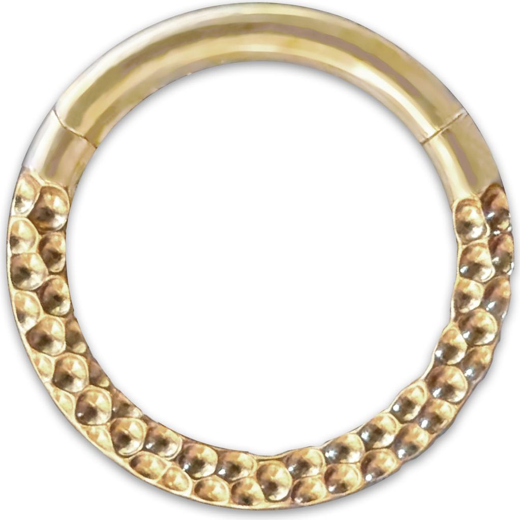 viva-adorno Nasenpiercing Segmentring mit Scharnier Clicker Titan G23 gehämmert Piercing Ring Nasenring Septum Lippe Helix Ohrpiercing Z584, gold