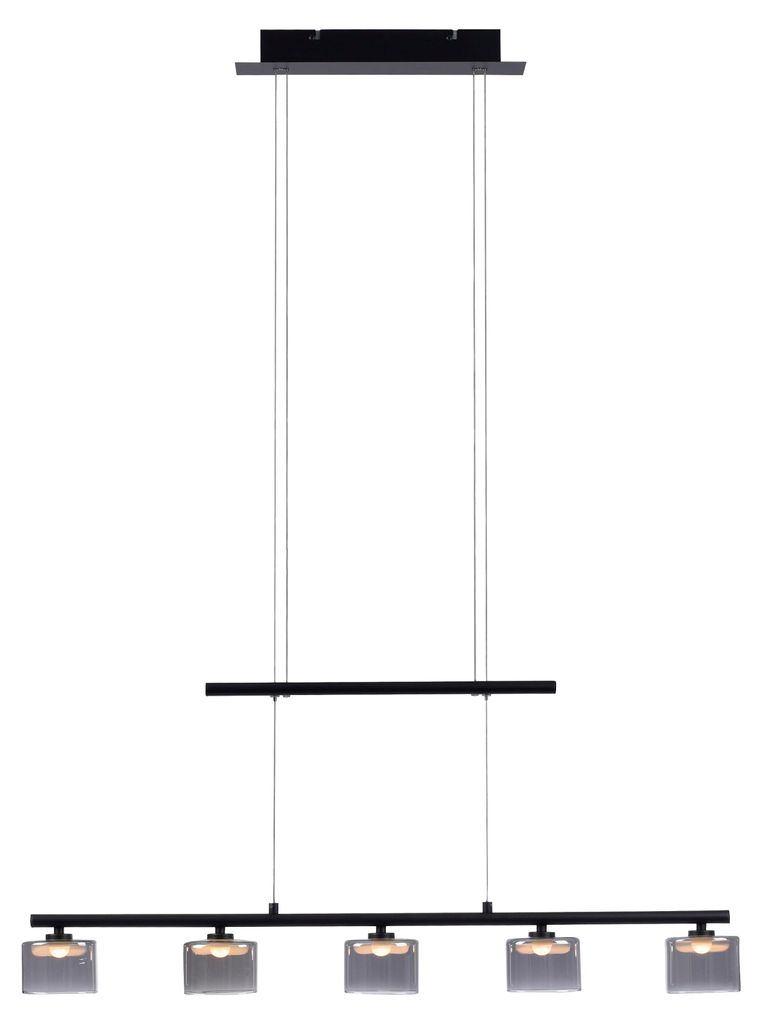 LED závesné svietidlo 5x4W HYDRA 2209-18 Paul Neuhaus Obrázok produktu 