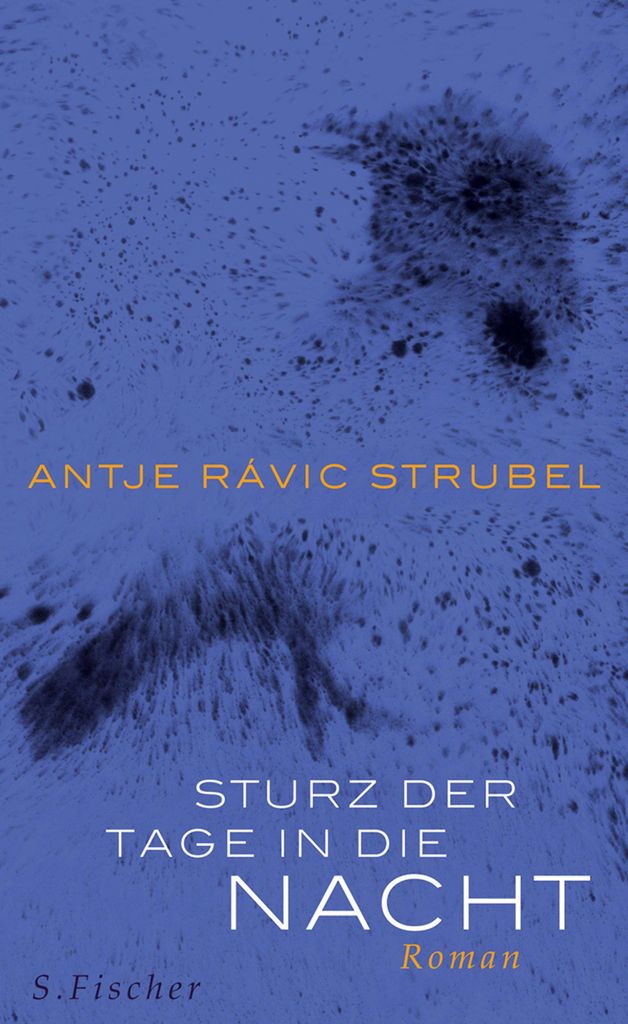 Strubel, A: Sturz der Tage in die Nacht