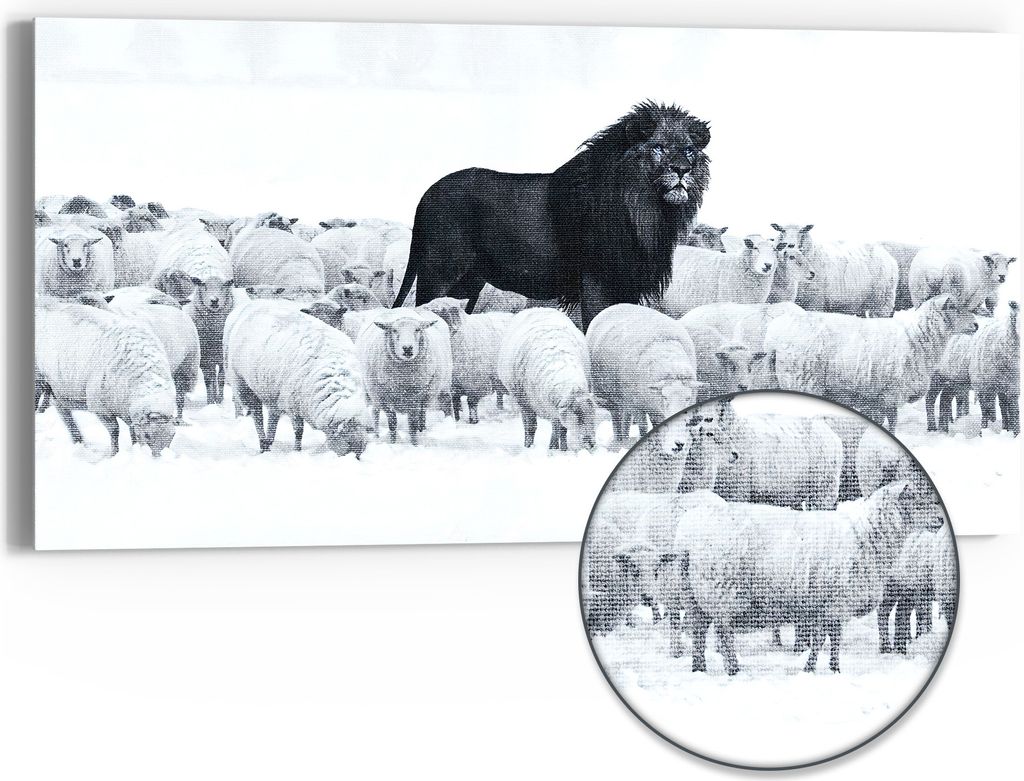DEQORI Hybrid Leinwand Bild 60x30 cm 'König der Herde' Wandbild Glas flach modern