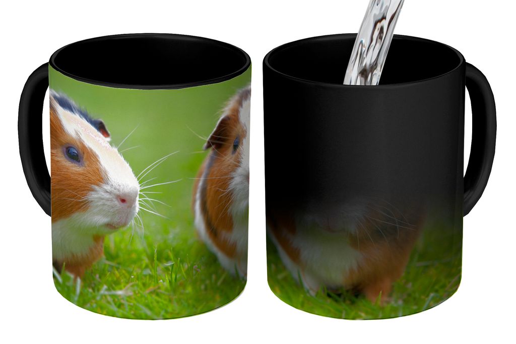 KitchenYeah Zauber Tasse Zaubertasse Magic Zwei Meerschweinchen 350 ml Farbwechsel Becher Geschenk Geschenkidee - Magic-Tasse - Fototasse - Keram...