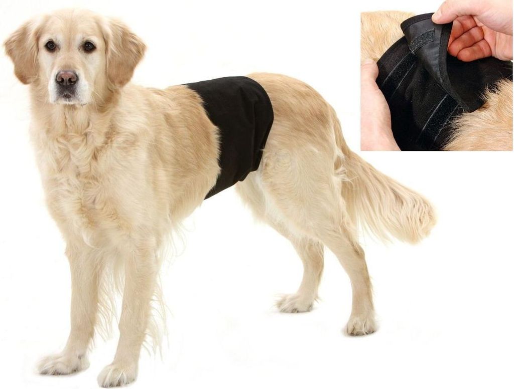 Karlie Hundeschutzhose für Rüden schwarz Gentleman Wraps, Größe:L 49 cm B 14 cm