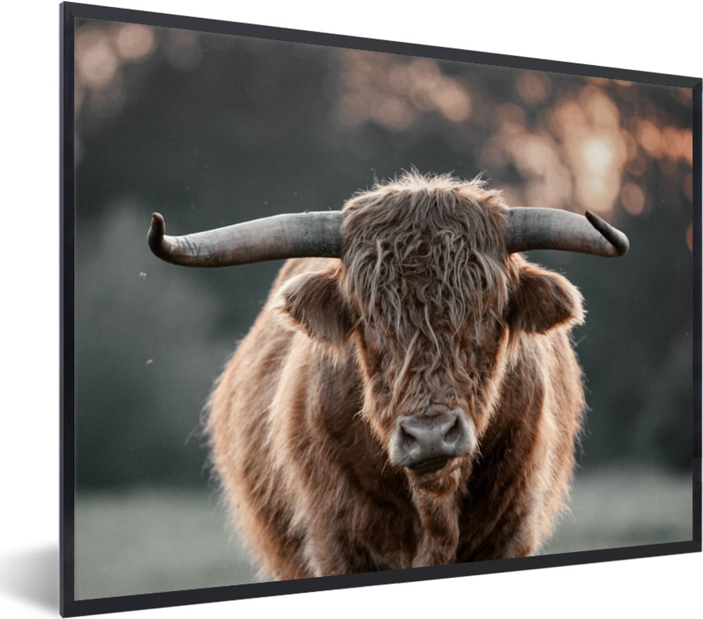 MuchoWow Gerahmtes Poster Schottischer Highlander - Kuh - Natur 80x60 cm - Poster mit Schwarzem Bilderrahmen Wandposter Rahmen Foto Bilder - Schw...