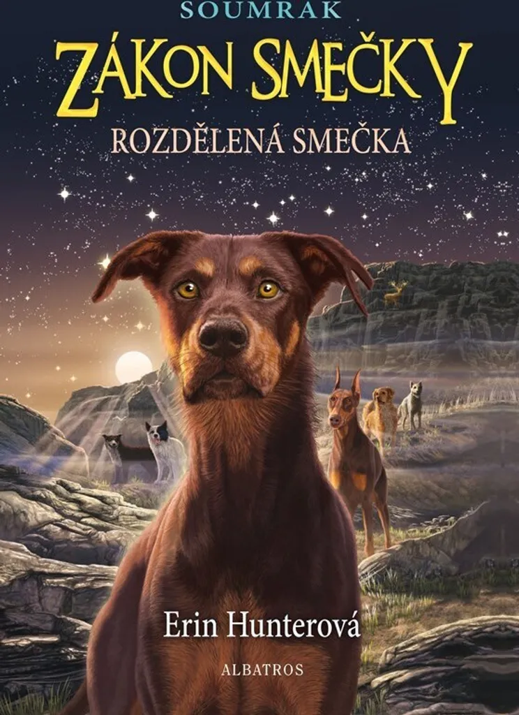 Livre Fantasy Rozdělená smečka - Roman de Survie Canine Erin Hunter