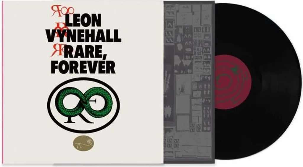 Leon Vynehall Rare Vinyle Album de Musique Électronique Ambient 2024
