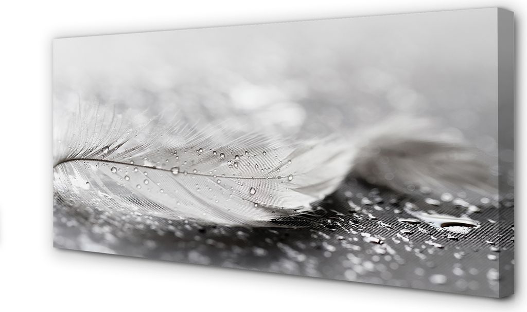 Leinwandbild 100x50 Wandkunst Tropfen Feder Makro