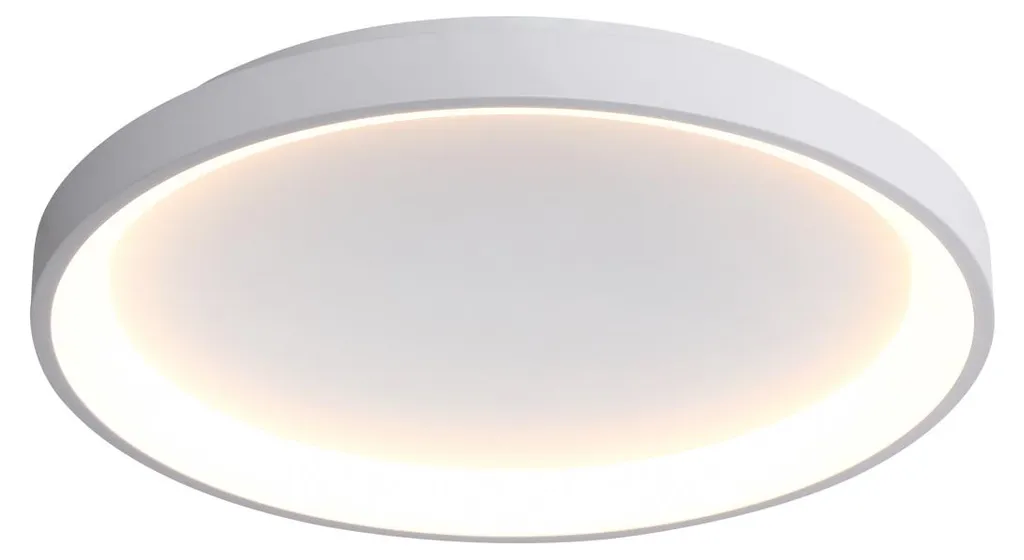 Plafonnier LED 50W RADEN CLN-3151-M-WH pour Éclairer les Pièces Sombres