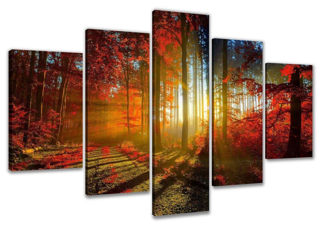 Visario Leinwandbild Herbstwald 160x80 cm – 5-teilig, Bild Produktbild 
