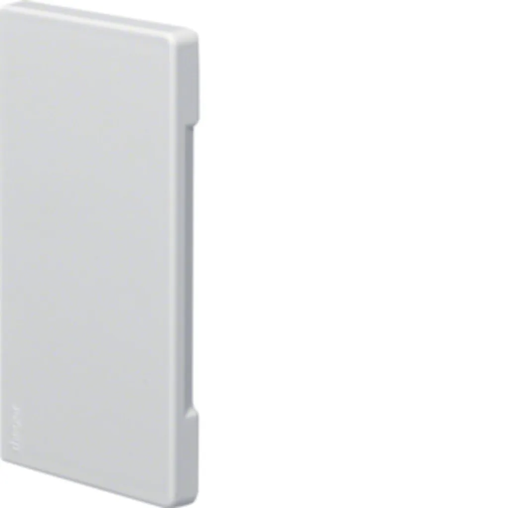 Hager BR6513069016 Embout blanc trafic pour goulotte de câblage BR65