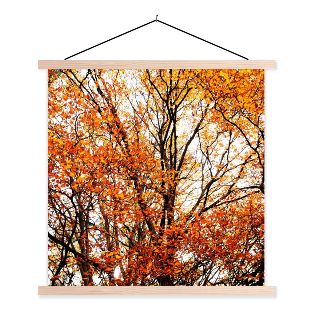 MuchoWow Textilposter Wald - Herbst - Jahreszeiten 40x40 cm mit holzfarbenen Rahmen - Posterleiste