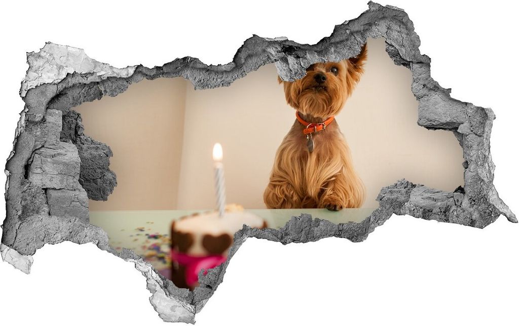 Selbstklebender Loch-3D-Aufkleber 95x73 cm Hundekuchen