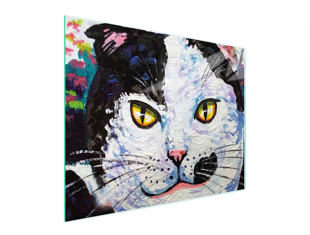 Glasschneidebrett 52x40 Katze