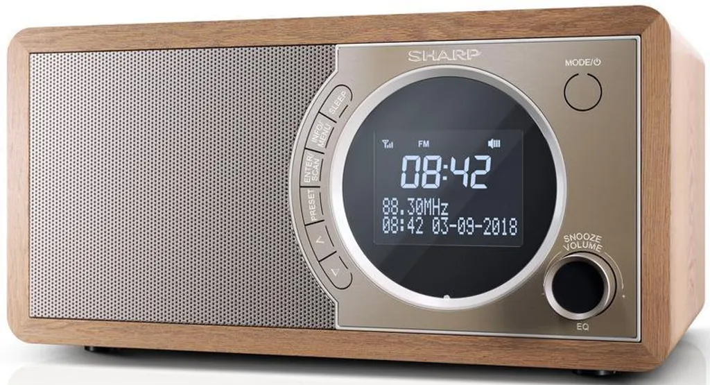 Radio Numérique DAB+ Sharp DR-450(BR) avec Enceinte Bluetooth en Bois - 15