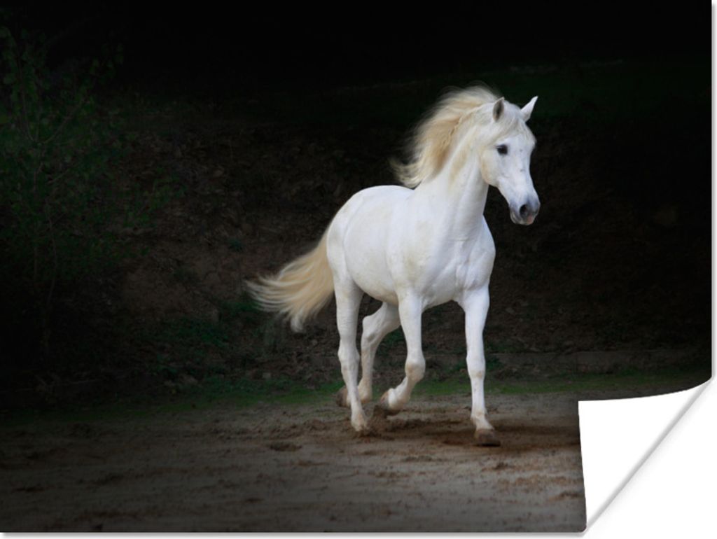 MuchoWow Poster Pferde - Sand - Dunkel 40x30 cm - Plakate für die Wände - Poster Wohnzimmer