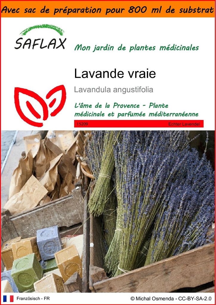SAFLAX Garden in the bag - Lavande vraie - 150 graines - Image du produit 