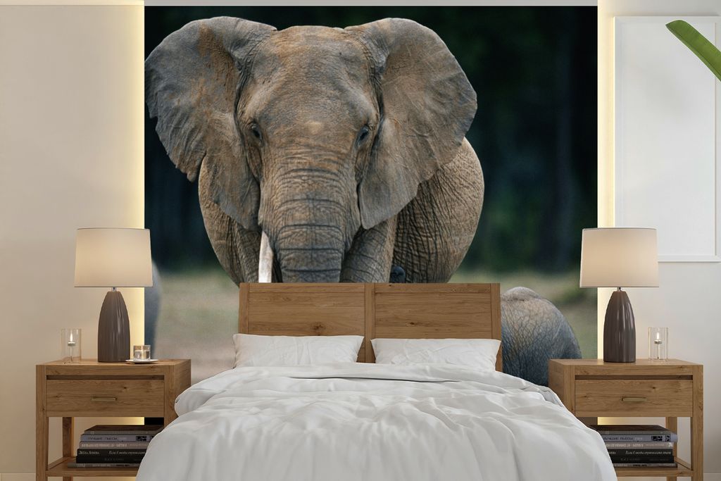 MuchoWow Fototapete für Wohnzimmer oder Schlafzimmer Wandtapete Vinyl Motivtapete Elefantenbaby wird von seiner Mutter gefüttert - 350x350 cm -...