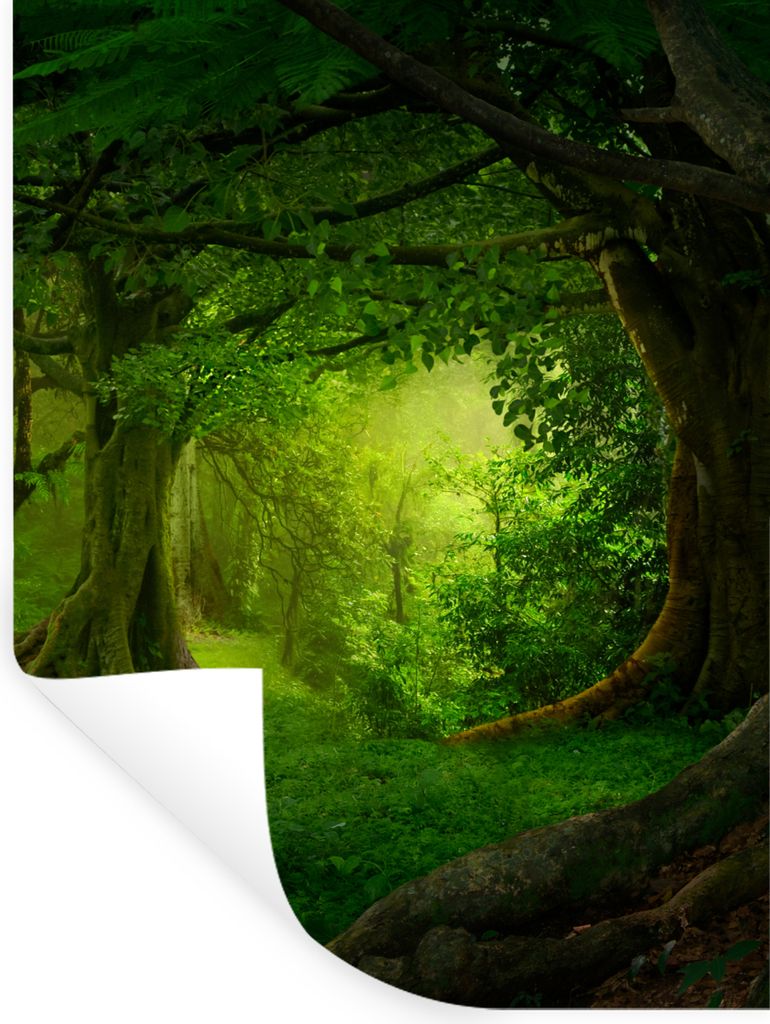 MuchoWow Wandtattoo Wandsticker Wandaufkleber Bäume - Wald - Grün - Landschaft - Natur 120x160 cm Selbstklebend und Repositionierbar - Wierderv...