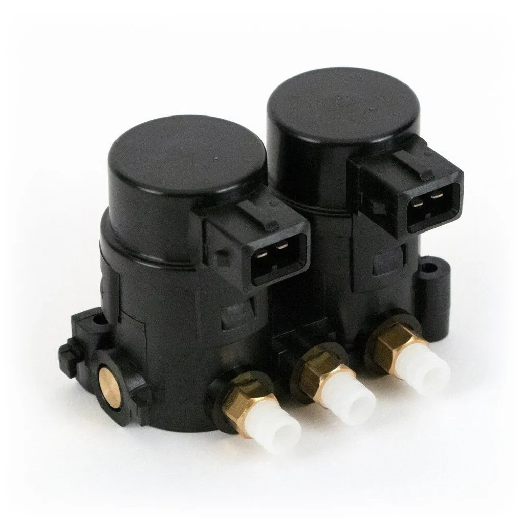 Système Pneumatique Arnott VB-4334 Haute Pression pour BMW E39 Berline