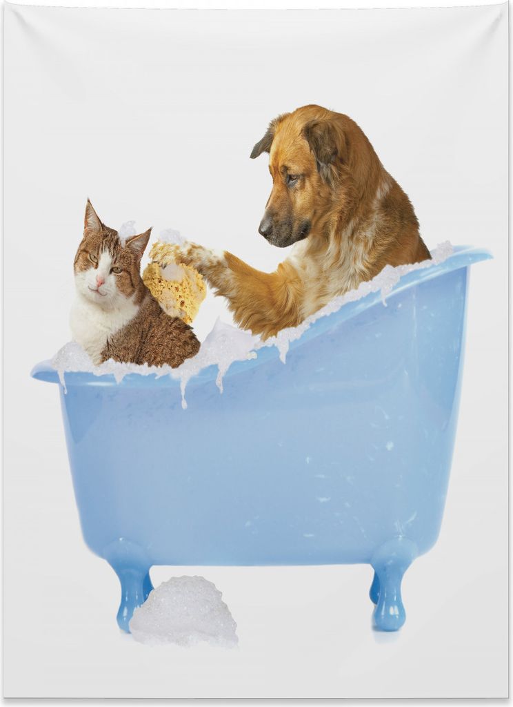 Abakuhaus Lustig Wandteppich, Hund und Katze in der Badewanne aus Weiches Mikrofaser Stoff Kein Verblassen Klare Farben Waschbar, 110 x 150 cm, Meh...