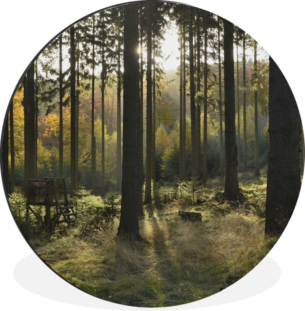 MuchoWow Aluminium Wandkreis Wald - Sommer - Sonne Ø 90 cm Wanddeko Modern Wohnzimmer - Mauerkreis - Wandbilder - Runde Bild - Bild aus Aluminiu...